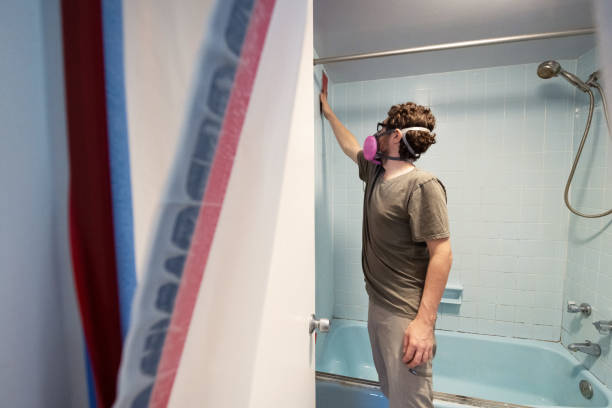 Best Real Estate Mold Inspection  in Lufkin, TX